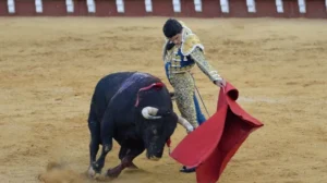 Matador