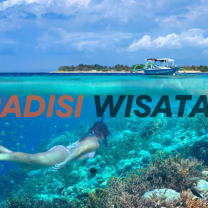 wisata snorkeling trawangan