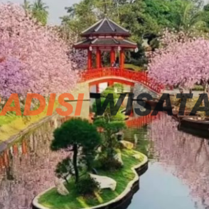 wisata ala jepang sakura park bogor