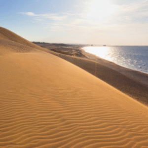 wisata Padang Pasir Tottori