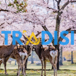Wisata Nara Park Jepang