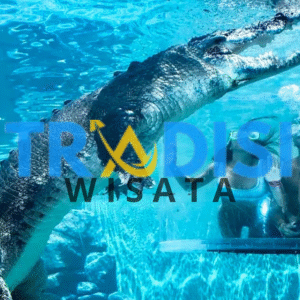 wisata extreme Cage of Death australia