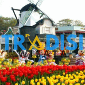 wisata everland theme park korea