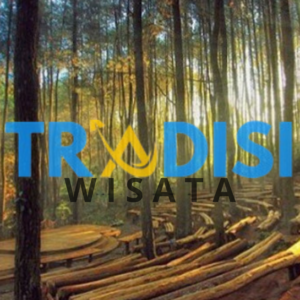 Hutan Pinus Asri yogyakarta