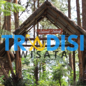 wisata hutan pinus kalilo