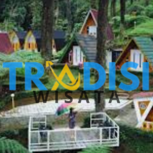 wisata Hutan Pinus Limpakuwus