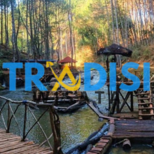 wisata hutan pinus rahong pangalengan