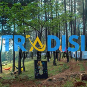 wisata Hutan Pinus Bissoloro