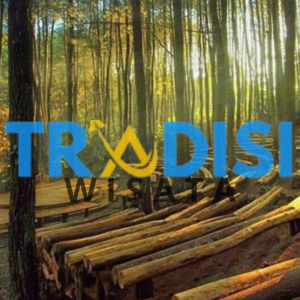 wisata Hutan Pinus Gunungsari